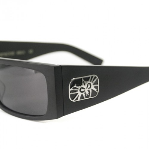 Black Flys Fly Detector Shiny Black