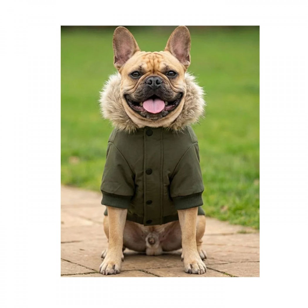 Dog’s Parka Jacket